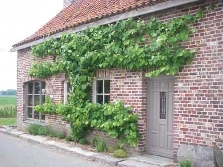 Hof ten Moenaerde