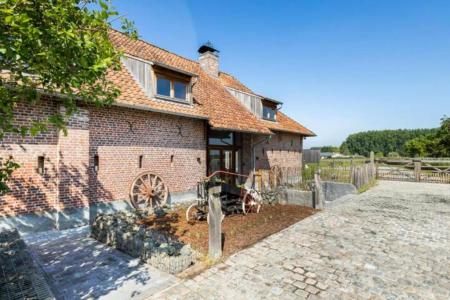B&B Burgemeestershof