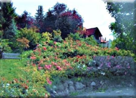 Hotel Sonne in Gernsbach