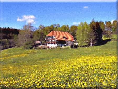 Pension Neubauernhof Pension Neubauernhof