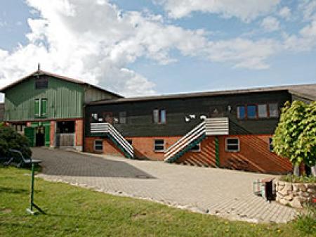 Ponyhof Naeve am Wittensee Ponyhof Naeve am Wittensee