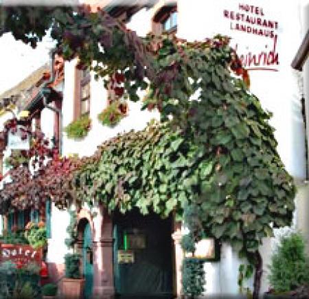 Hotel Landhaus Heinrich / Restaurant Hotel Landhaus Heinrich / Restaurant