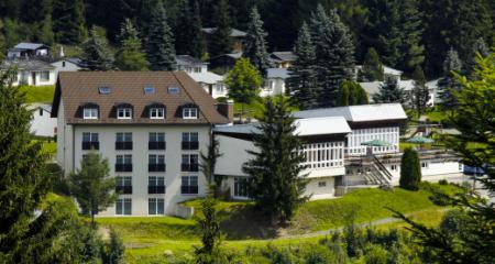 Hotel Waldhotel Feldbachtal
