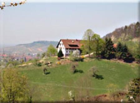 Günsberghof Günsberghof