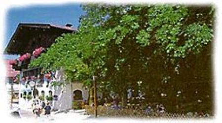 Hotel Traube - Scheuerl GmbH