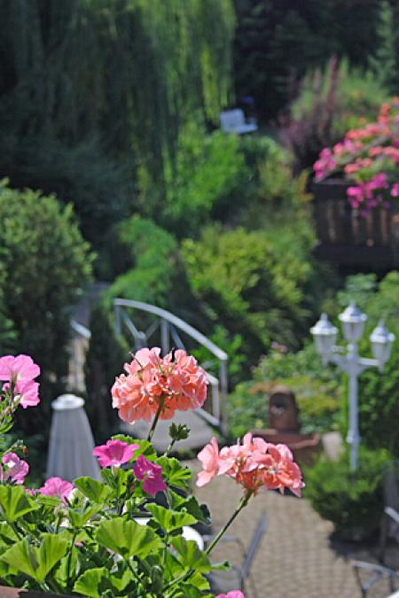 Hotel Hotel Rebekka mit Haus am Brühl_winter Hotel Hotel Rebekka mit Haus am Brühl_winter