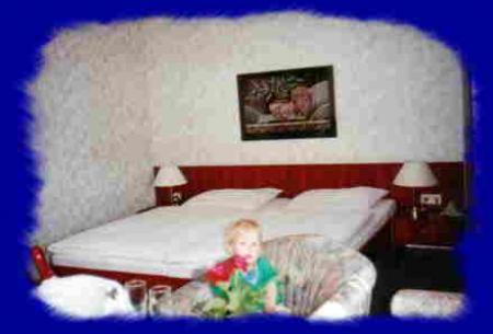 Hotel PARKHOTEL am Schloss Machern_winter Hotel PARKHOTEL am Schloss Machern_winter