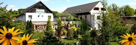 Hospedaria/Restaurante Gasthof und Pension Palmenhof_winter Hospedaria/Restaurante Gasthof und Pension Palmenhof_winter