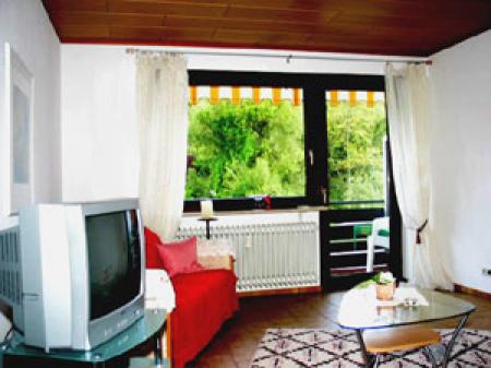 Appartement Ferienwohnung Fewo-Hauser_winter Appartement Ferienwohnung Fewo-Hauser_winter