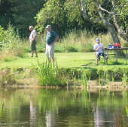 Asaa Camping and Cabins