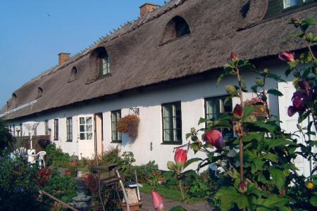 Guesthouse Copenhagen Beach Guesthouse Copenhagen Beach