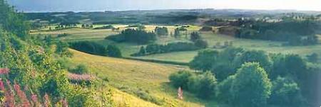 Jelling Golfklub Jelling Golfklub