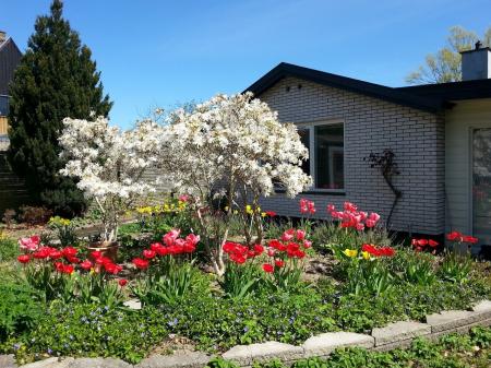 Thygesen Bed & Breakfast Thygesen Bed & Breakfast