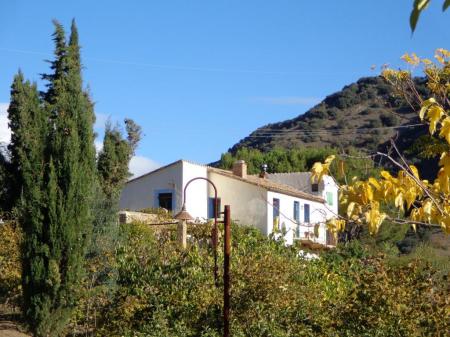 Mas Ardevol Mas Ardevol