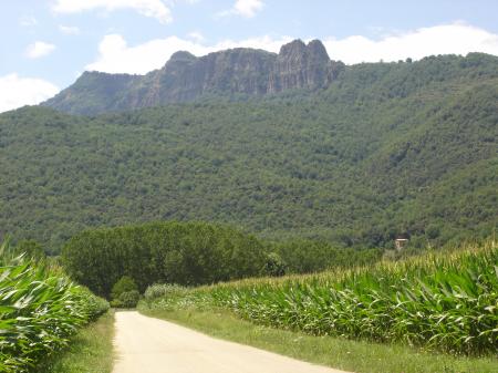 EL ROURELL EL ROURELL