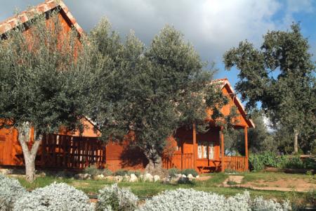 Camping Alquézar