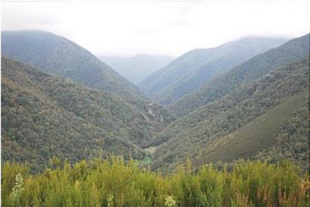 El Balcón De Muniellos El Balcón De Muniellos
