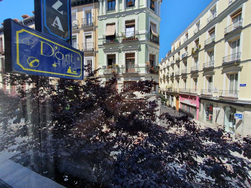 CH Plaza Dort Rooms - Madrid