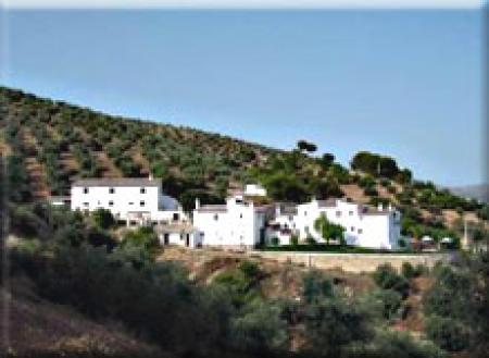 Cortijo La Fe Cortijo La Fe