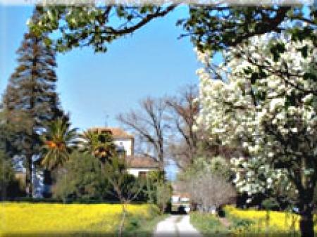 Casa Rural Cortijo del Pino Casa Rural Cortijo del Pino