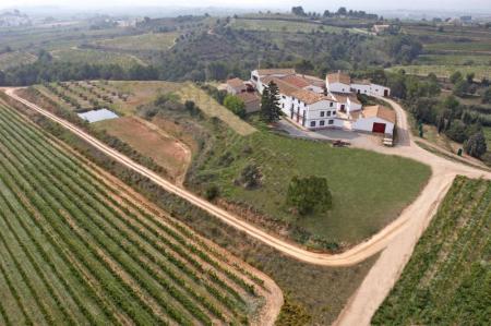 Bodega J. Miquel Jané Bodega J. Miquel Jané