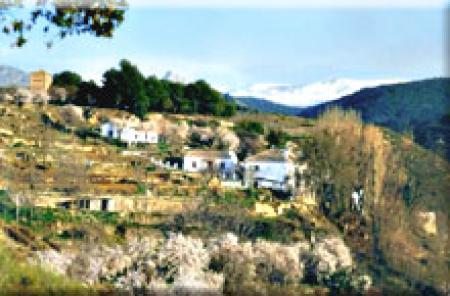 Casas Rurales Cortijo Balzain Casas Rurales Cortijo Balzain