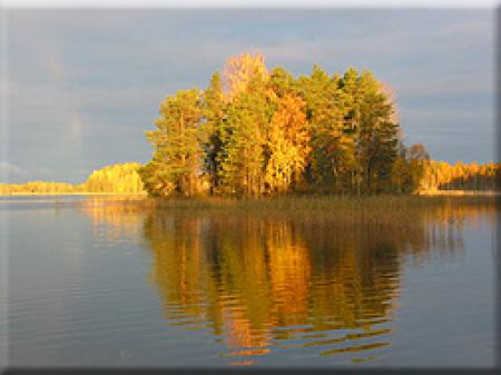 ERÄPAIMEN OY ERÄPAIMEN OY