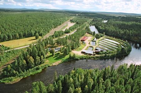 Tornionlaakson Jaloste Ky Tornionlaakson Jaloste Ky