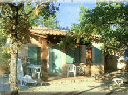 Flower Camping LÉpi Bleu