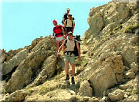 AET NATURE AET NATURE