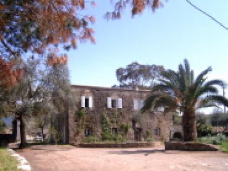 Domaine dOstriconi Domaine dOstriconi