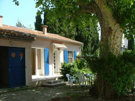 Le platane