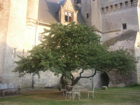 Chateau de Cherveux Chateau de Cherveux
