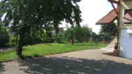 Les Vins dAlsace Laurent Bannwarth