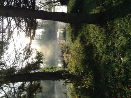 Early Grez Chambre dhôtes