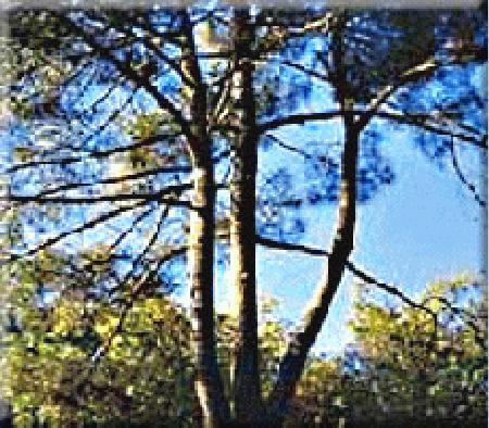 Camping Namasté ***