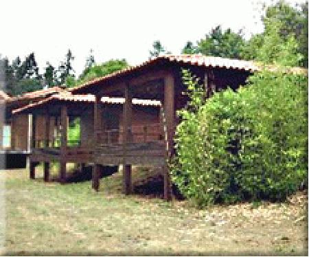 Camping Bar Restaurant Les Aulnes