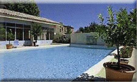 Field of White Flower Field of White Flower