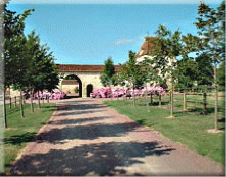 Logis de la Corneliere Logis de la Corneliere
