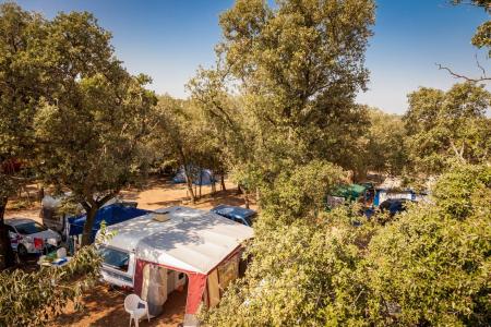 Kamping Flower Camping Gajan_winter Kamping Flower Camping Gajan_winter