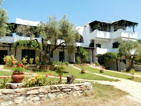 Olive House Olive House