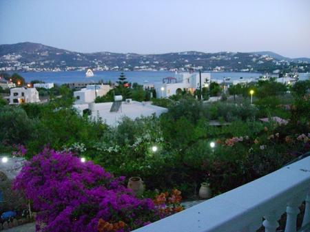 Angelika Studios Angelika Studios