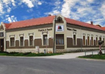 Villa Aralica