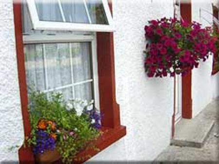 The Rockeries The Rockeries