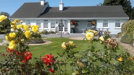 Villa Pio Accommodation