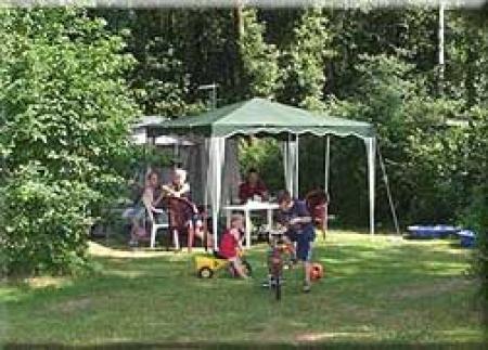 De Goldberg De Goldberg