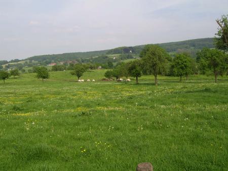 Hotel Restaurant Eureka Hotel Restaurant Eureka