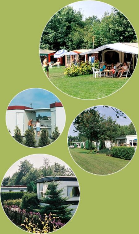 Holiday park Mooi Oavelt