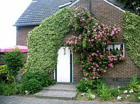 De Elsbeemden De Elsbeemden