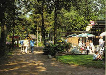 Camping het Berkenven